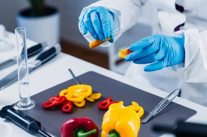 Food Testing Food Testing